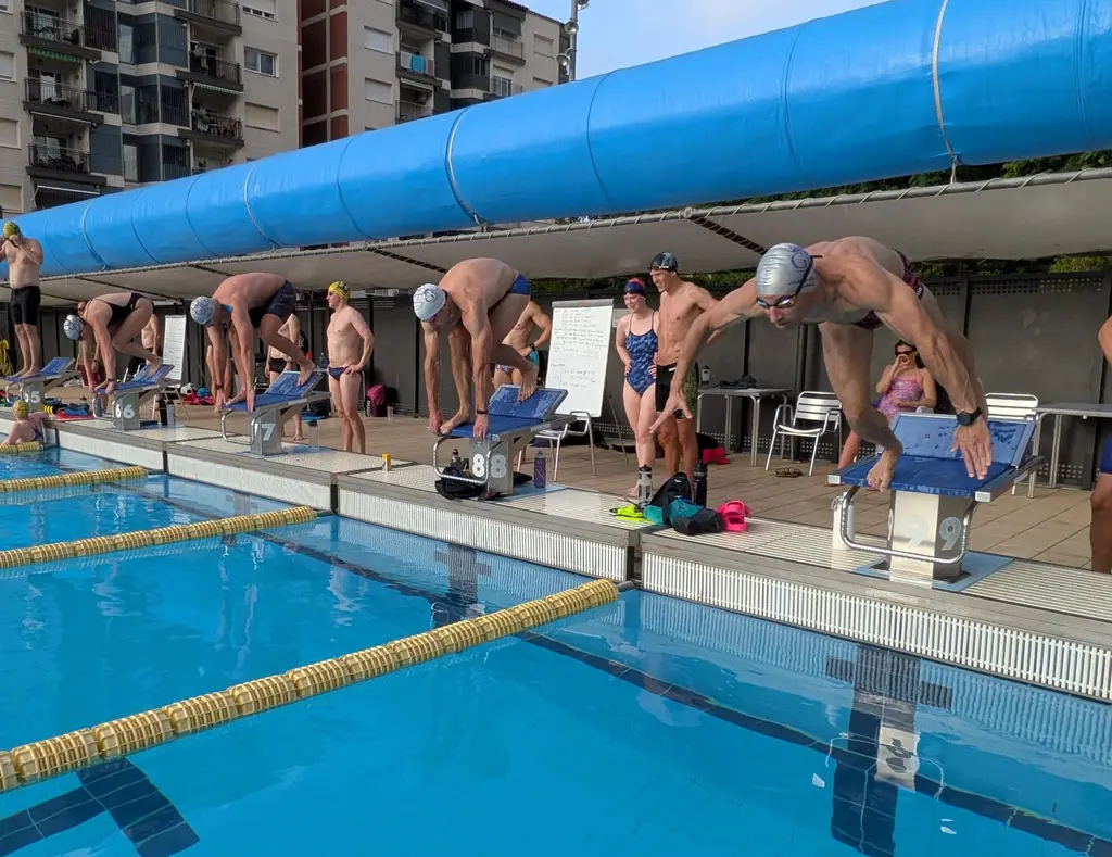 Eight swimmers bent over the starting blocks in a long line, all loaded, none of them gone yet.